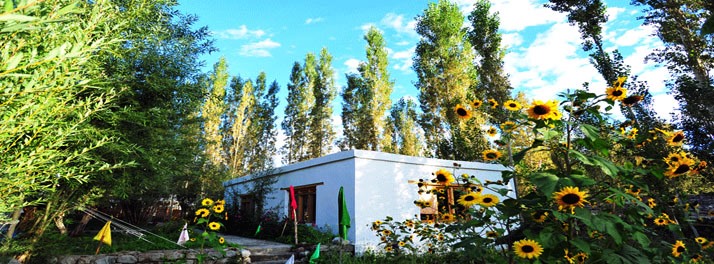 1858/Nubra Ethnic Camp & Resort - Nubra 03.jpg